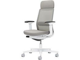 �R�N�� ���l�b�g ���I ���C�g�O���[