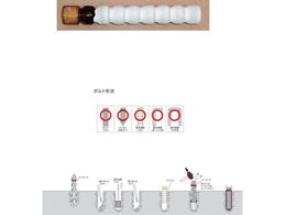 DECOLUXE P~JAJ[ PG^Cv(ōݕ) PG-13N