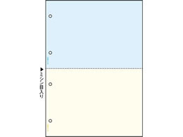 ヒサゴ マルチプリンタ帳票 A4 カラー 2面 4穴 2400枚 BP2011WZ