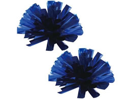 �A�[�e�b�N �炭�炭�`�A�|���|�� �� �u���[ 18907