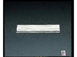 �G�X�R �X�y�A�[�u���V 12�{ [EA109DP�p] EA109DP-1