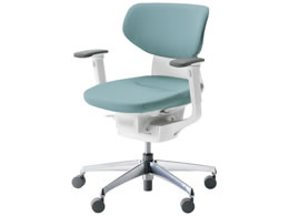 RN CO NbVw^[RCY IL V CRGA3211E1G439V