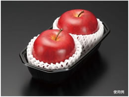 pbNX^C BPt[c 2S  100