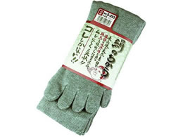 �����ӂ���� ���̂����� 5�{�w �O���[ 3���g