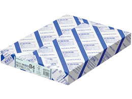 RN PPCJ[p p B4 500  5 KB-C34B