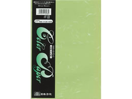 ���{�@�� �J���[�a�� ��玆 A4�� �ᑐ 10��