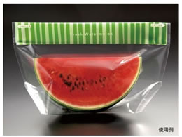 pbNX^C XCJ {[_[ M 1000