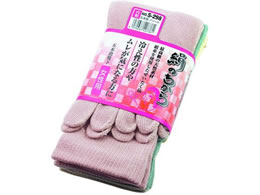 �����ӂ���� ���̂����� �w�l 5�{�w �J���[ 3���g