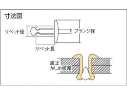 エビ ブラインドリベット(ステンレス／ステンレス製) 8-6(100本入