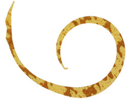 WbJ rrXCb`T+lN^C}CNJ[[X #GrI