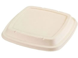 pbNX^C oKXe BBٓ N23-23F W 50