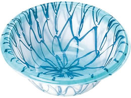 �A�d�~�Y�� �v���J�b�v �Ԗ� �� �ی^ TZ-1 500����