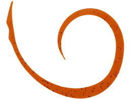 WbJ rrXCb`T+lN^C}CNJ[[X #R[