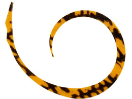 WbJ rrXCb`T+lN^C}CNJ[[X #V}V}IW