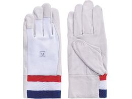 �x�m�O���[�u �ؖ{�v��� F-807 ��M 5824