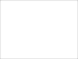 kzR[|[V F㎿ Ō A3 T  400