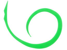 WbJ rrXCb`T+lN^C}CNJ[[X #uO[