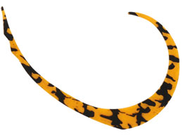 WbJ rrXCb`T+lN^C}CNJ[[Ch #V}V}IW