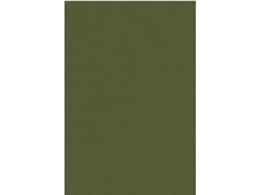 TTK NGCeBuJ[h ͂ I[t 20~5 16-3056