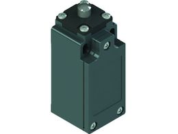 Pizzato ~bgXCb` FM^Cv5 vW01` FM 501