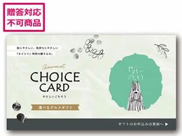 Af[ ₳ ̂Ȃ J[h YS25-101DX