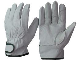 �����ӂ� �؊v�⋭�A�e��t�}�W�b�N LL R-24-LL