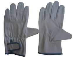 �z�[�P��/�v�����[�N �|�[�N�W���C