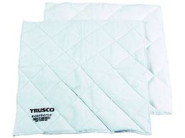 TRUSCO IChCpbh 500~500 (100) TODP-50