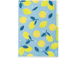 ~h 3|PbgNAz_[ A4 A 35572006