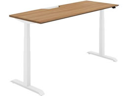 RN V[NGX M o[W1800 XeBbN~fBA W