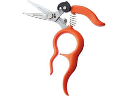 �T�{�e�� ���肪�g������n���X�e���_��