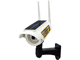 t@~[ECt \[[[d hƃ_~[JCgII^ 2 a33926