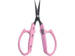 �T�{�e�� ��ۂԂǂ������n�s���N �t�b�f