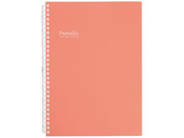 qgu Pastello cCXgm[g Z~B5 29 bh N1908-3