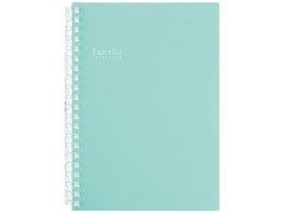 qgu Pastello cCXgm[g B6 21 O[ N1969-19