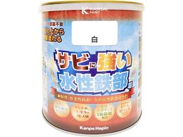 �J���y�n�s�I �����S���p �� 1.6L