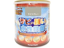 �J���y�n�s�I �����S���p ���C�g�O���[ 1.6L