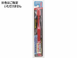 NGCg f^vXe[W XpCPA 炩