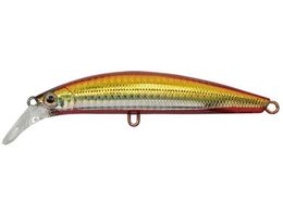 WN\ se[EZ 28 #WRD WAJL