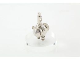 �A�l�X�g��c/�t�̓h�z�p�����X�v���[�K��