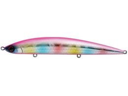 WN\ AX[g 12SSP PCD sNLfB[