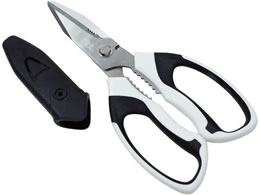 ���ŃM���l �ƒ�S�~���͐ؒf�͂��� 1522