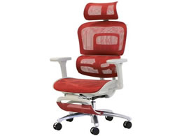 Netforce _Ci~NXPro`FA tbgXgt bh DP-1HF-FW-RD