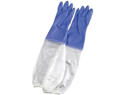 �O�����w�H�� �V���L�[ ���� ��� �r�J�o�[�t L �o�C�I���b�g