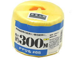  PPʊЂ 300m  00720009