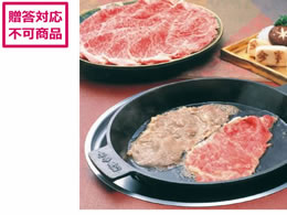  јa ėp(艺t) AN-100W