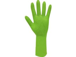 Ag y_ 10g L 1790-10-L