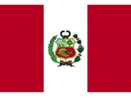 ��������/���� �y��-