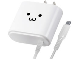 GR AC[d Type-CP[ǔ^ 2.4A 낿 MPA-ACC02WF