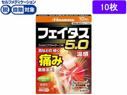 ����)�v������ �t�F�C�^�X5.0���� 10��